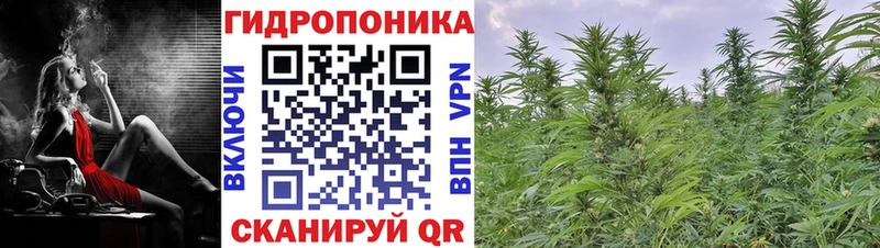 Купить закладки  Салаир  МАРИХУАНА гибрид 
